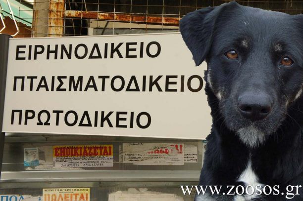 Κέρκυρα: Το 2015 θα δικαστεί ο 70χρονος πρώην αστυνομικός που εκτέλεσε 2 σκυλιά το 2009
