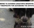 Μόνο τα ελληνικά δικαστήρια μπορούν να επιβάλλουν ποινή στον δολοφόνο της Μάγκυ