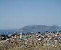 Καταδίκη της Ελλάδας για την μη προστασία του βιότοπου της καρέτα στη Ζάκυνθο