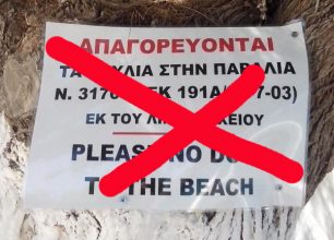 Θα κατεβάσουν την πινακίδα που παρανόμως απαγορεύει τα σκυλιά σε παραλία της Κύθνου