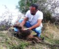 Νεκρό αρκουδάκι σε τροχαίο κοντά στο Νεστόριο Καστοριάς