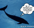 Μέσω της δελφινοθεραπείας το Υ.ΠΕ.Κ.Α. θα νομιμοποιήσει την εκμετάλλευση των δελφινιών στο Αττικό