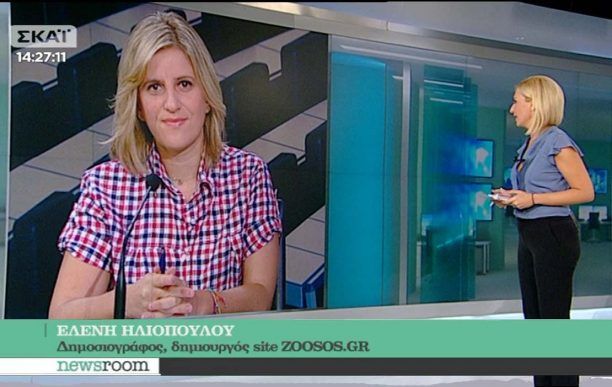 Η Ελένη Ηλιοπούλου δημοσιογράφος του www.zoosos.gr στην εκπομπή «NEWSROOM» για τις κακοποιήσεις των ζώων (βίντεο)
