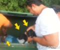 Κοζάνη: Έσωσαν τα 3 κουτάβια που βρήκαν μέσα στον κάδο σκουπιδιών (βίντεο)
