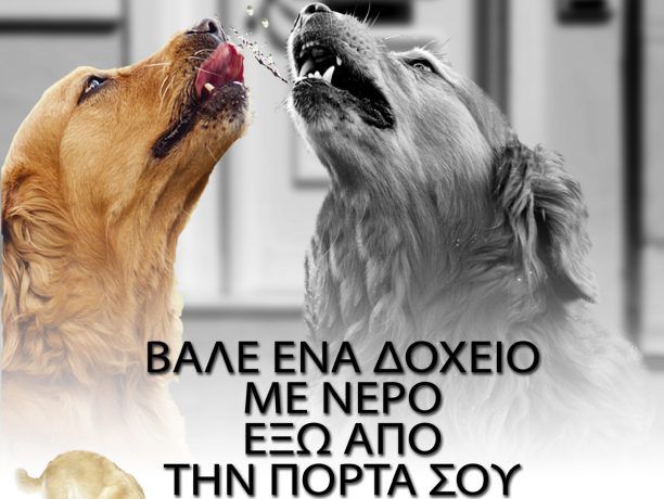 Ενημερωτικό φυλλάδιο για τα δικαιώματα των ζώων από τον Δήμο Σητείας