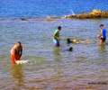 Δεκάδες σκυλάκια έκαναν μαζί μπάνιο σε παραλία των Χανίων χωρίς να μολύνουν τη θάλασσα!