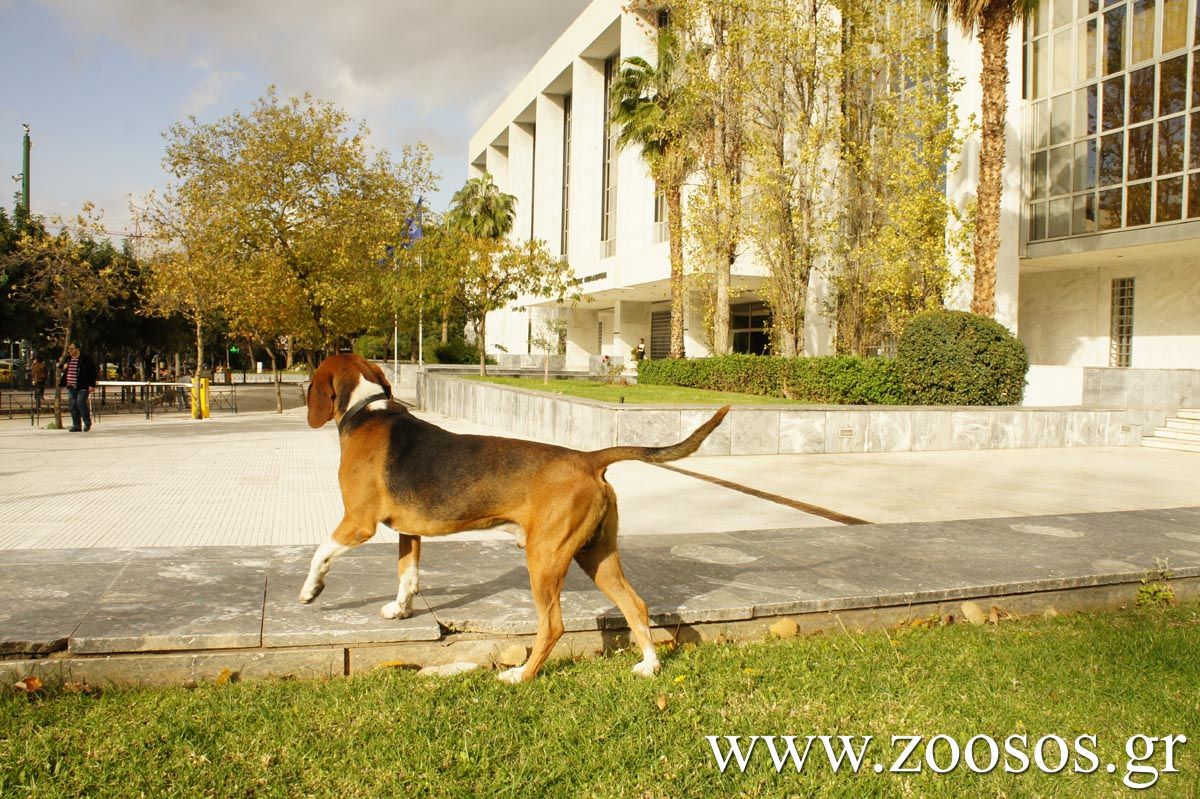 Συνάντηση με θέμα την προστασία των ζώων είχαν Β. Πλιώτας και Μ. Βορίδης