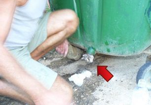 Κεφαλλονιά: Έσωσαν το γατάκι που είχε σφηνώσει στον κάδο σκουπιδιών