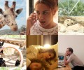 Το είδος Άνθρωπος σε «κλουβί» στο Αττικό Ζωολογικό Πάρκο (βίντεο)