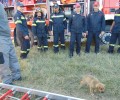 Κομοτηνή: Πυροσβεστική και Ε.Μ.Α.Κ. έσωσαν το κουτάβι που έπεσε σε πηγάδι βάθους 7 μέτρων (βίντεο)
