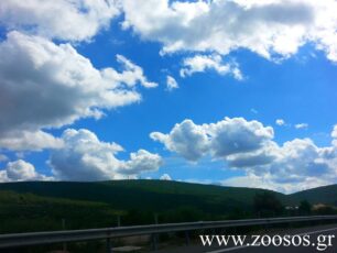 Ένας κροκόδειλος και μια χελώνα πετούν στα σύννεφα