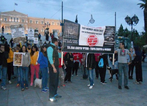 Διαμαρτυρήθηκαν για όσα συμβαίνουν εις βάρος των ζώων στην Ελλάδα (βίντεο)