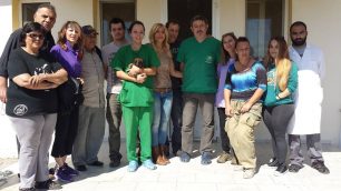 Βέροια: Στείρωσαν δωρεάν 260 αδέσποτα οι κτηνίατροι από το εξωτερικό