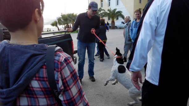 Διαμαρτύρονται για τις παρανομίες του Μπέου εις βάρος των αδέσποτων σκυλιών του Βόλου (βίντεο)