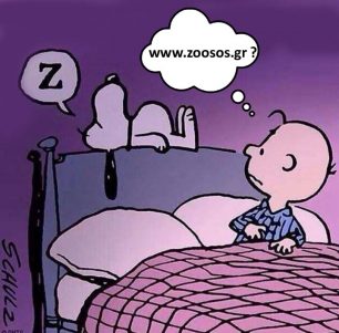 Κοιμάται και ονειρεύεται... #zoosos