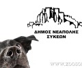 Σκάνερ μικροτσίπ και φάρμακα για τα ζώα από τον Δήμο Νεάπολης - Συκεών