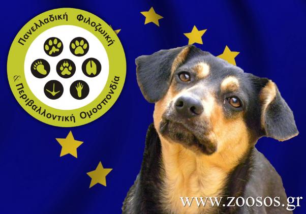 Στην Ευρωπαϊκή Επιτροπή στρέφεται η Π.Φ.Π.Ο. για τις κακοποιήσεις ζώων στην Ελλάδα