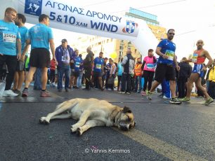 Νικητές και ξαπλωμένοι στο Μαραθώνιο