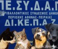 Ζητούν να μη διώκονται οι αιρετοί αφού δεν υπάρχει χρηματοδότηση για τ’ αδέσποτα