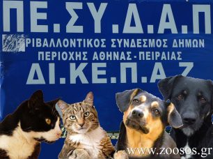 Σε συνεργασία με το ΔΙ.ΚΕ.Π.Α.Ζ. προχωράει ο Δήμος Αθηναίων λόγω ανικανότητας διαχείρισης των αδέσποτων ζώων!