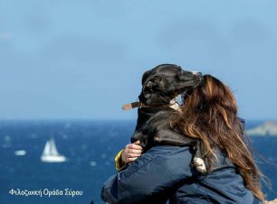 Σύρος: Τα σκυλιά του καταφυγίου κινδυνεύουν από τα μπάζα