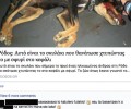 Ζητούν να γίνει έρευνα από το Γ.Ε.Σ. ώστε να αποκαλυφθεί αν φαντάροι στη Ρόδο σκότωσαν σκυλιά