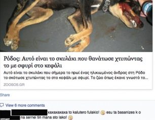 Ζητούν να γίνει έρευνα από το Γ.Ε.Σ. ώστε να αποκαλυφθεί αν φαντάροι στη Ρόδο σκότωσαν σκυλιά