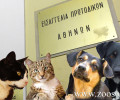 Ο Γ. Νούλης νέος εισαγγελέας προστασίας των ζώων στην Εισαγγελία Πρωτοδικών Αθηνών