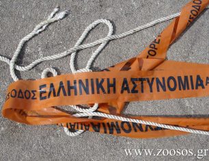 Λαύριο: Βρήκαν τρία κουτάβια νεκρά πυροβολημένα στο αρχαίο θέατρο Θορικού Αττικής