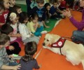 Η σκυλίτσα Λούνα θα «δείξει» στα παιδιά στη Δράμα πώς να συμπεριφέρονται στα ζώα