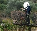 Δικογραφία εις βάρος του ιερέα που παγιδεύει πουλιά στη Χίο