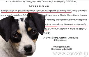 30.000 € διοικητικό πρόστιμο στον 52χρονο που σκότωσε σκύλο στη Δροσιά Εύβοιας