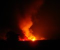Κορινθία: Η πυρκαγιά στη λίμνη Στυμφαλία κατέκαψε τον υδροβιότοπο