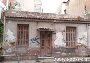 Έκκληση για τη σωτηρία δύο σκυλιών που ζουν μόνα τους σε μονοκατοικία στον Ν. Κόσμο
