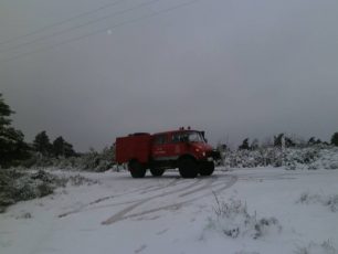 Σκόπελος: Με όχημα της Πυροσβεστικής έφτασε στο καταφύγιο για να ταΐσει τα ζώα