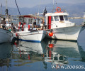 Μετά την καταστροφή που προκάλεσαν οι ψαράδες απαγορεύτηκε καθολικά η αλιεία στη πέριξ της Γυάρου έως τον Ιούλιο του 2024