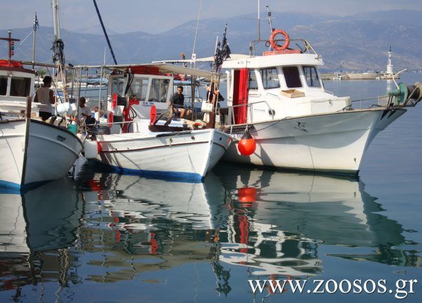 Ο Γ. Καρασμάνης συμβάλλει στην καταστροφή των θαλασσών επαναφέροντας την αλιεία με βιντζότρατα