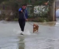 Άρτα: Απαγόρευσαν σε πλημμυροπαθείς να φέρουν στο ξενοδοχείο τον σκύλο τους! (Βίντεο)