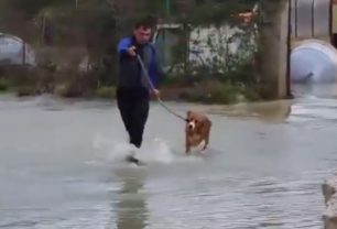 Άρτα: Απαγόρευσαν σε πλημμυροπαθείς να φέρουν στο ξενοδοχείο τον σκύλο τους! (Βίντεο)