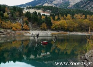 Τμήμα Οικολογίας ΣΥ.ΡΙΖ.Α.: «Υγρότοποι για το μέλλον στην Ελλάδα και τον κόσμο»