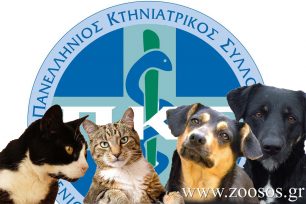 Ο Πανελλήνιος Κτηνιατρικός Σύλλογος προτάσσει την προστασία της Δημόσιας Υγείας αντί για την προστασία των Αδέσποτων (βίντεο)