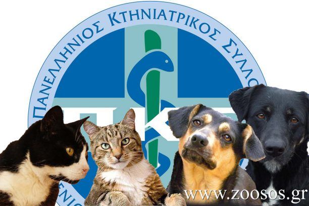 Παν. Κτηνιατρικός Σύλλογος: Ιδιοκτήτης ζώου χωρίς μικροτσίπ δεν μπορεί να ζητήσει ευθύνες από κτηνίατρο σε περίπτωση βλάβης στην υγεία του σκύλου ή γάτας