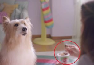 Μια διαφήμιση για παιδιά εξαιρετικά επικίνδυνη για τη ζωή των σκυλιών (βίντεο)
