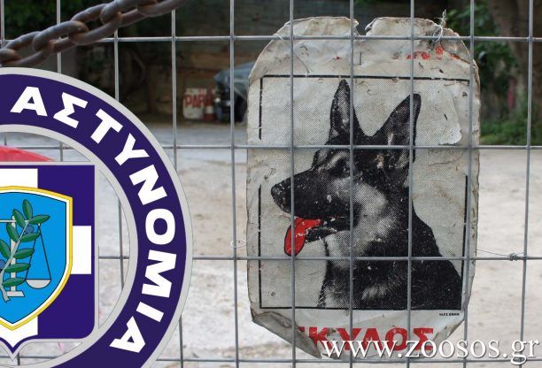 Αχαΐα: Έπνιξε τον σκύλο και τον κρέμασε στην αυλή του ιδιοκτήτη του στα Μάρμαρα Ακράτας