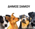 Ζητούν βοήθεια από τον Δήμου Σάμου για την φροντίδα 164 σκυλιών