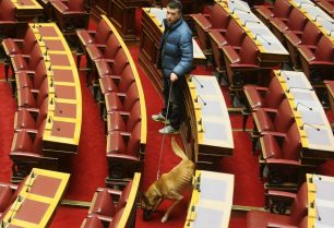 Εξαιρετικά αδύνατος ο σκύλος της ΕΛ.ΑΣ. που έλεγξε την Βουλή