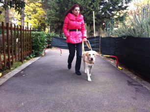 Νέα Σμύρνη: Απαγόρευσαν σε ταβέρνα την είσοδο σε σκύλο – συνοδό τυφλής