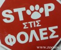 Χαλάνδρι Αττικής: Την προσοχή των φιλόζωων για φόλες εφιστά ο Σύλλογος Εθελοντών Φίλων των Ζώων Χαλανδρίου