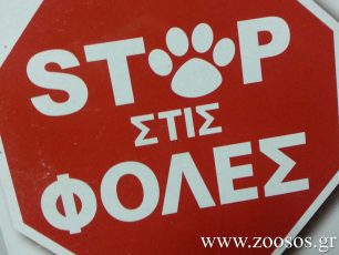 Παλαγιά Έβρου: Με φόλες δολοφόνησε δέκα σκυλιά