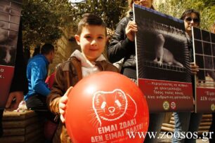 Ενημέρωσαν τους Αθηναίους για τον βασανισμό των γουνοφόρων ζώων